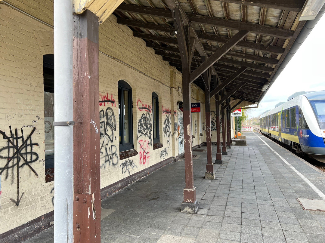 Munster (Örtze)-Munster必去景点