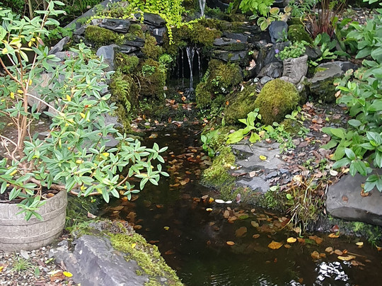 King Arthur's Labyrinth-Corris必去景点