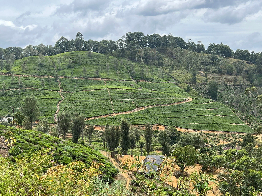 Ella Train Journey-哈顿必去景点