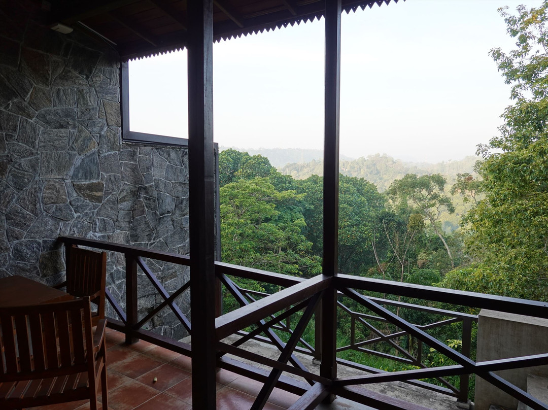 生命之树酒店主图