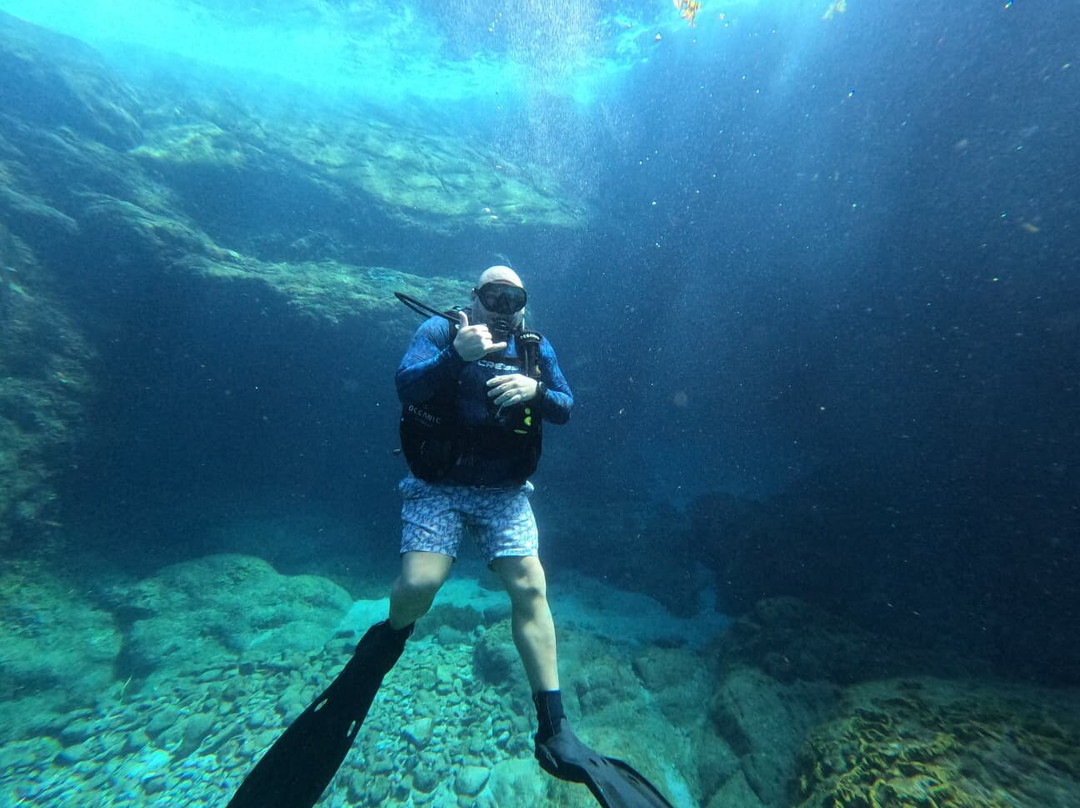 Aquatica Underwater Adventures-Aguadilla必去景点