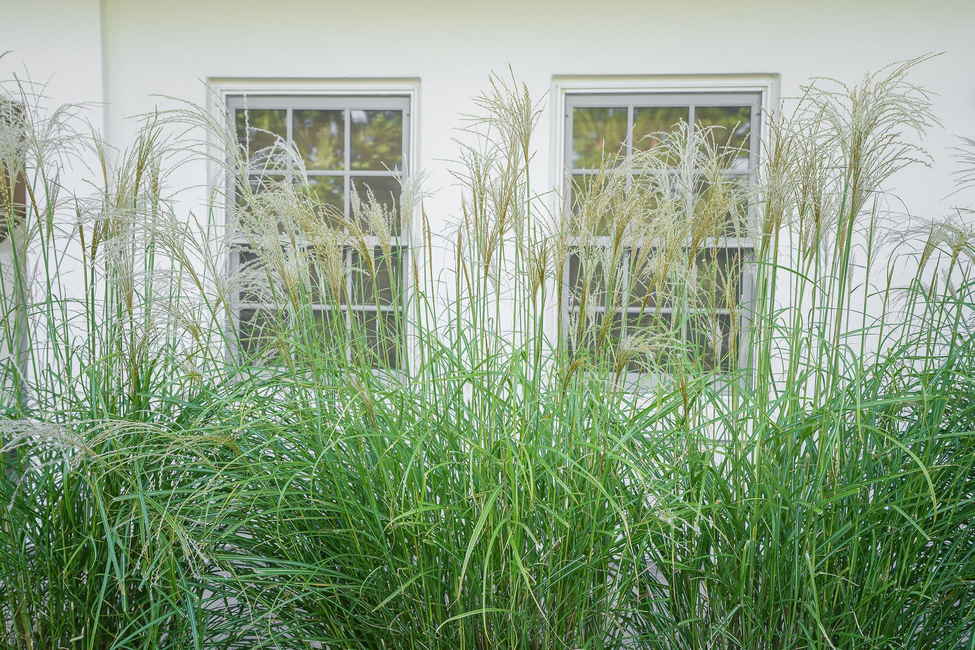 Indian Springs Calistoga-浴室