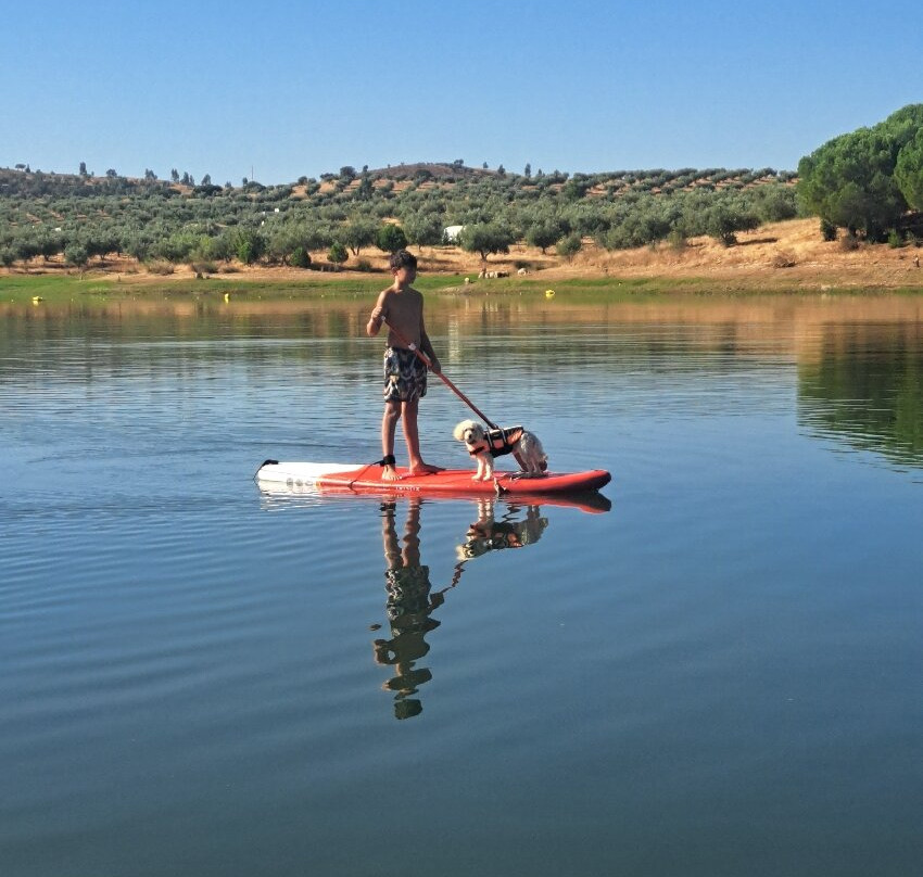 Amieira Marina (Grande Lago - Alqueva)-埃武拉必去景点