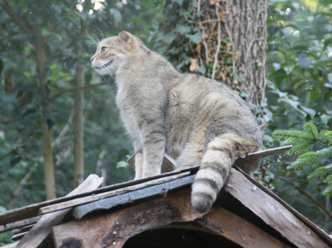 Parco Natura Viva-布索伦戈必去景点