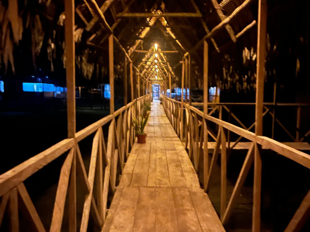 Curassow Amazon Lodge-伊基托斯必去景点