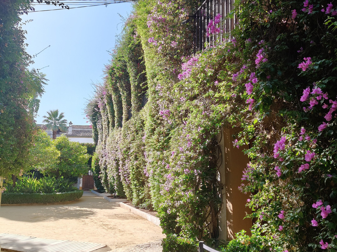 Palacio De Las Duenas-塞维利亚必去景点