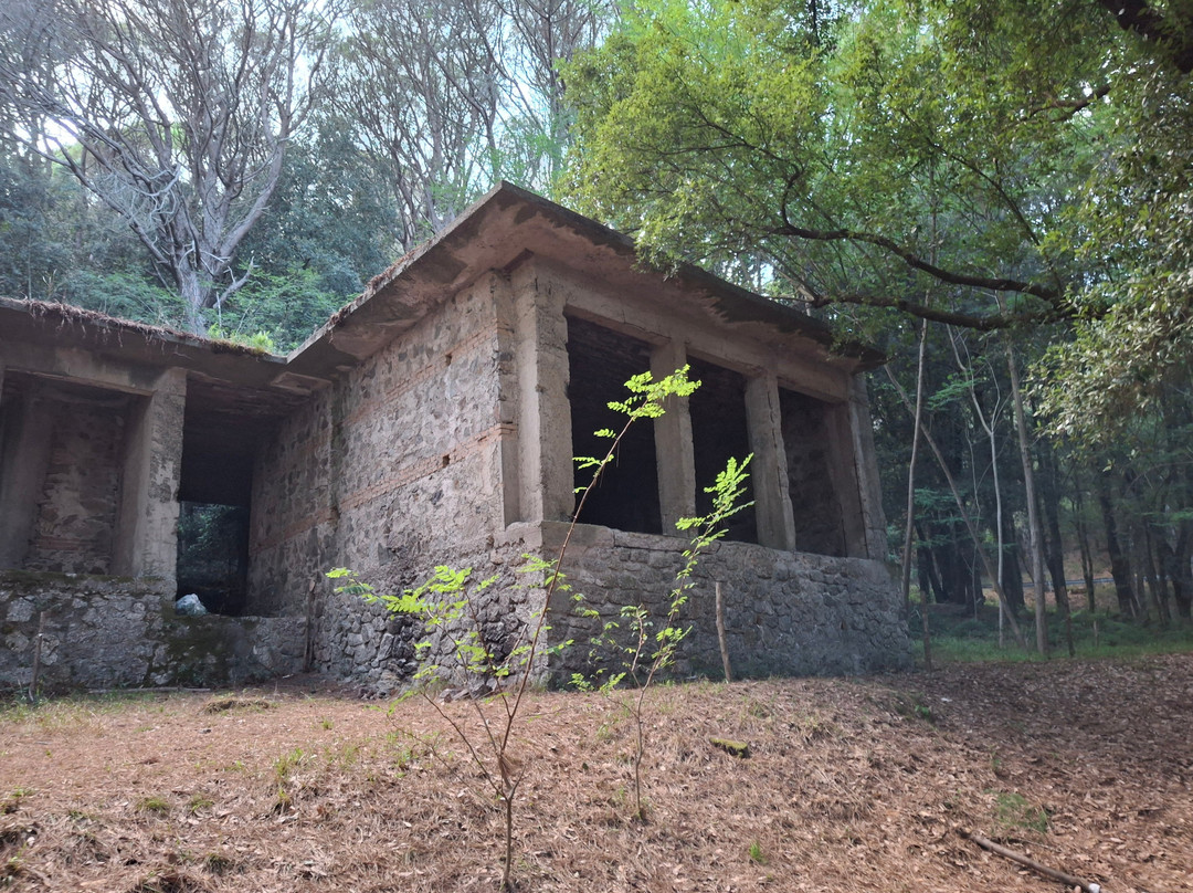 Colli San Rizzo-墨西拿必去景点