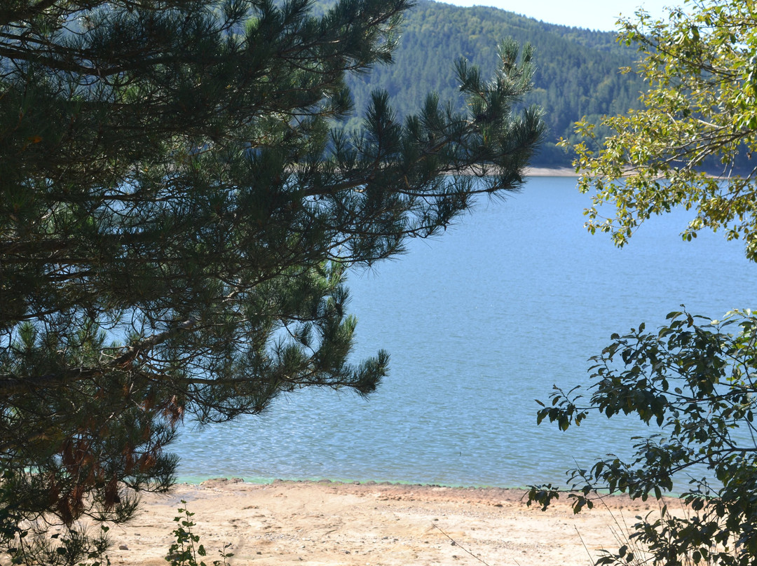 Lago Arvo-San Giovanni in Fiore必去景点