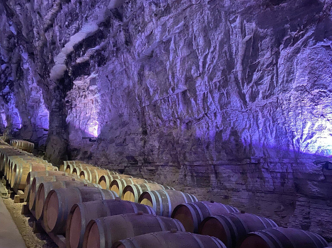 Terra Vinéa-Portel-des-Corbieres必去景点