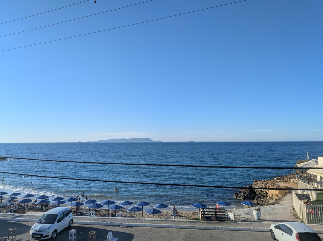 Diogenis Blue Palace主图