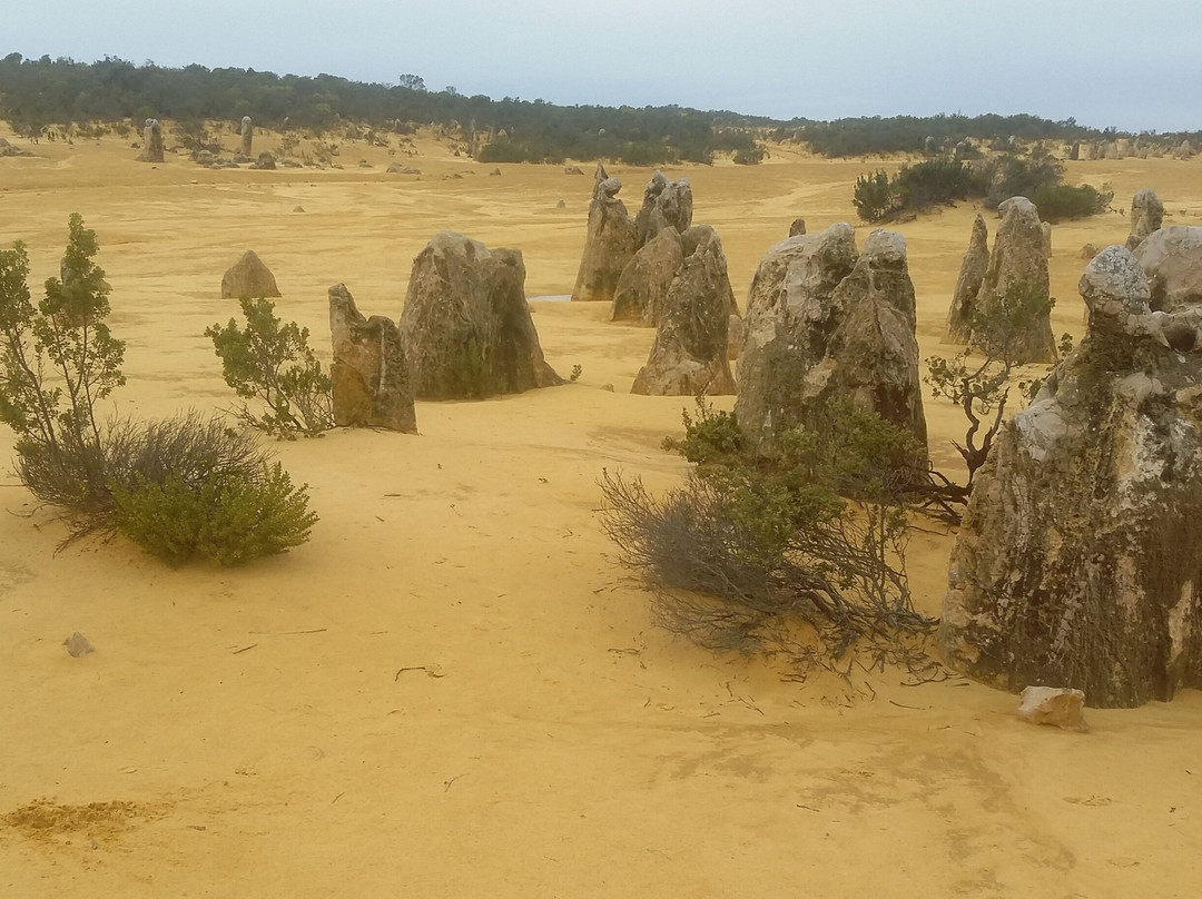 Casey Australia Tours-珀斯必去景点