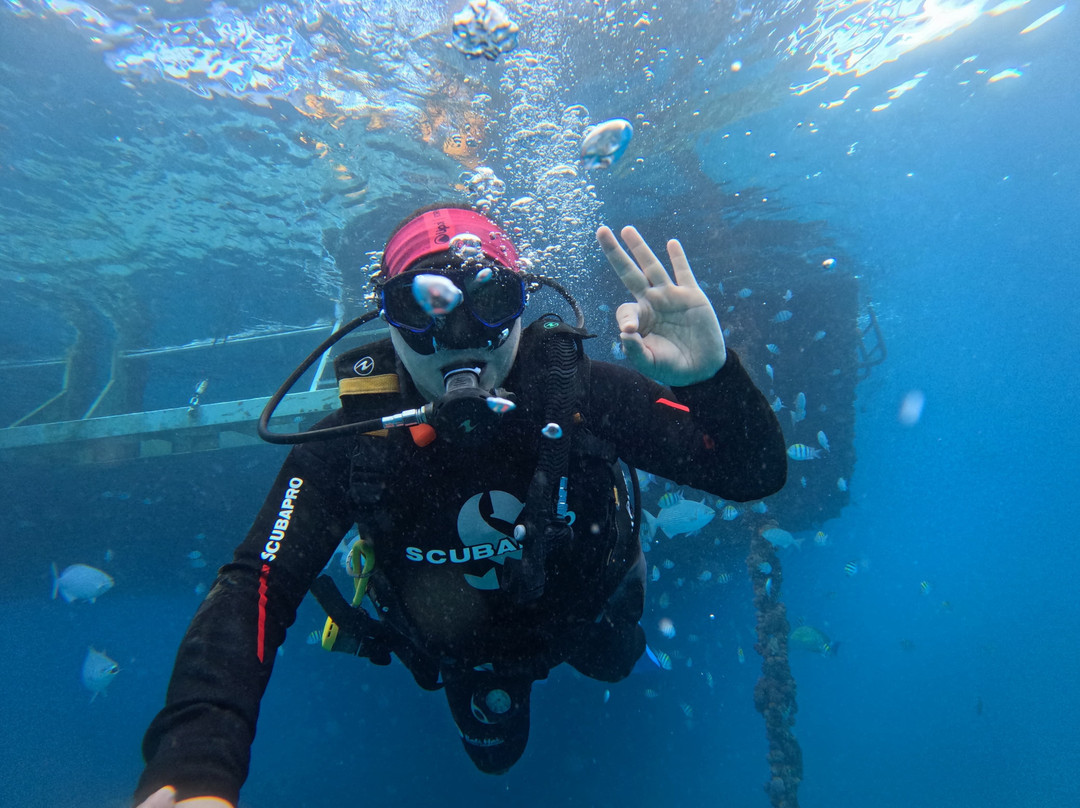 Bali Hai Diving Adventures-蓝梦岛必去景点