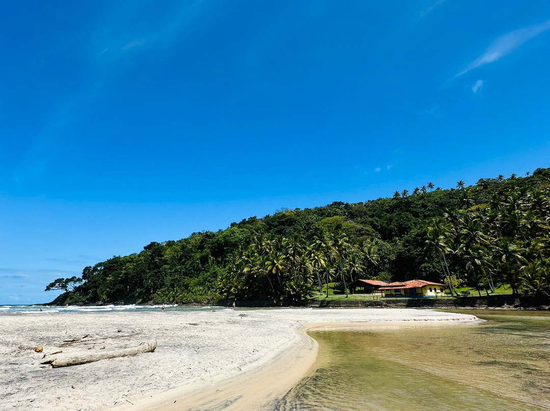 Jeribucacu Beach-Itacare必去景点