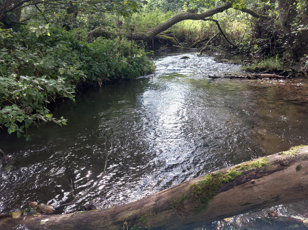 Dalby Forest-皮克灵必去景点