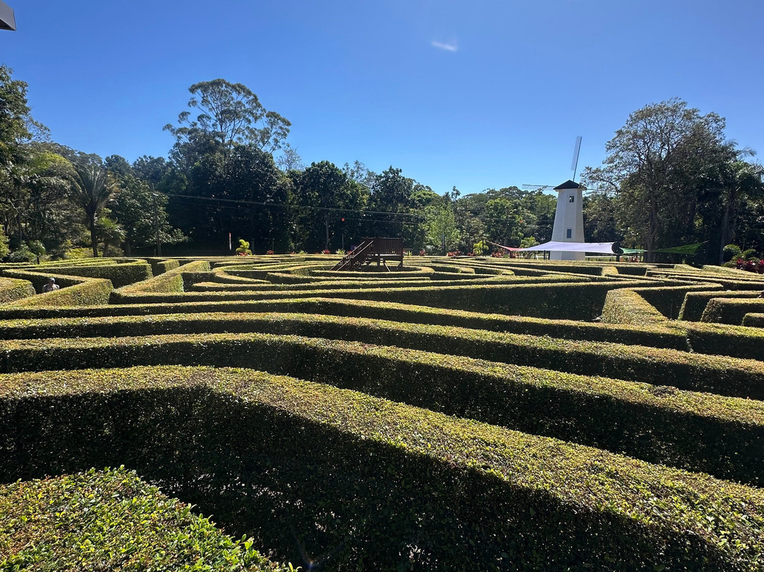 Amaze World-Tanawha必去景点