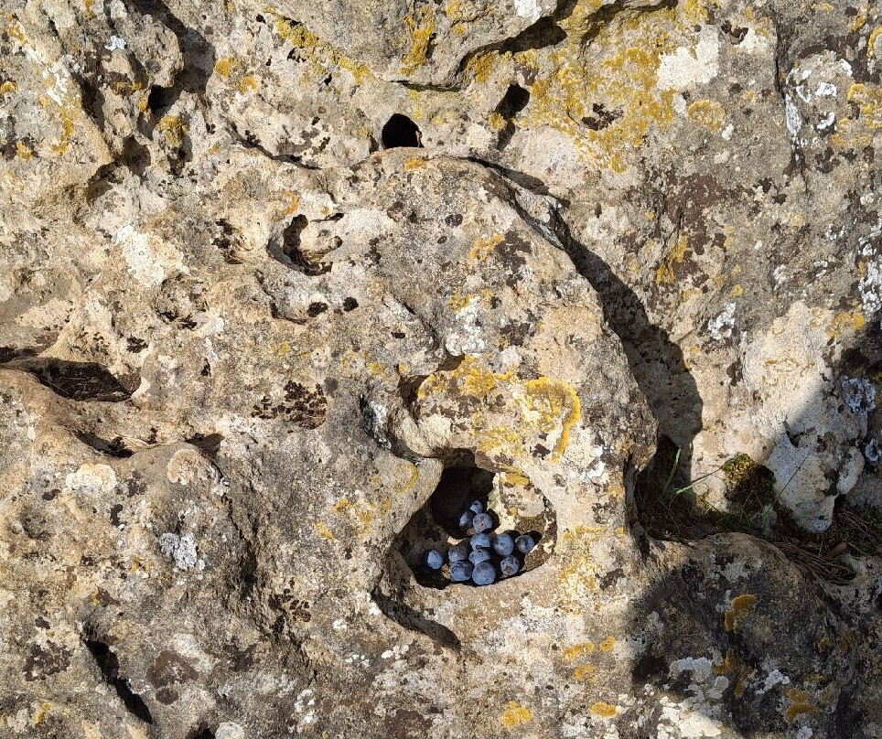 Rollright Stones-Rollright必去景点