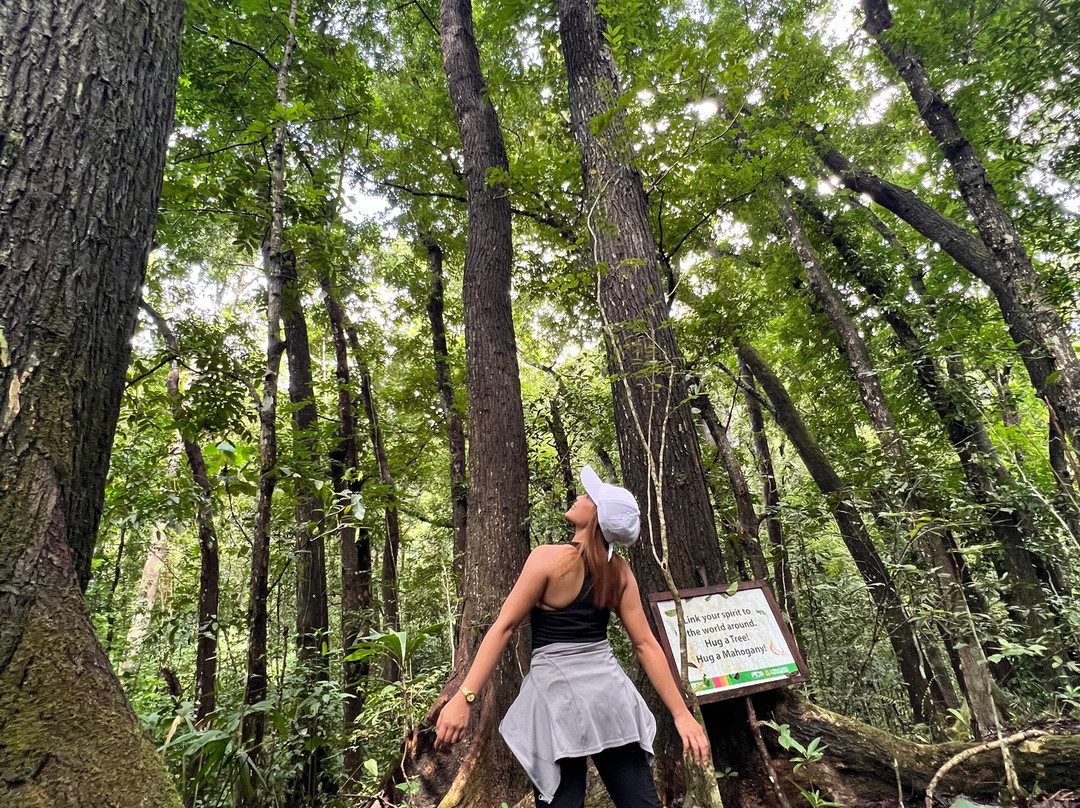 Lower Magat Eco Tourism Park-Diadi必去景点