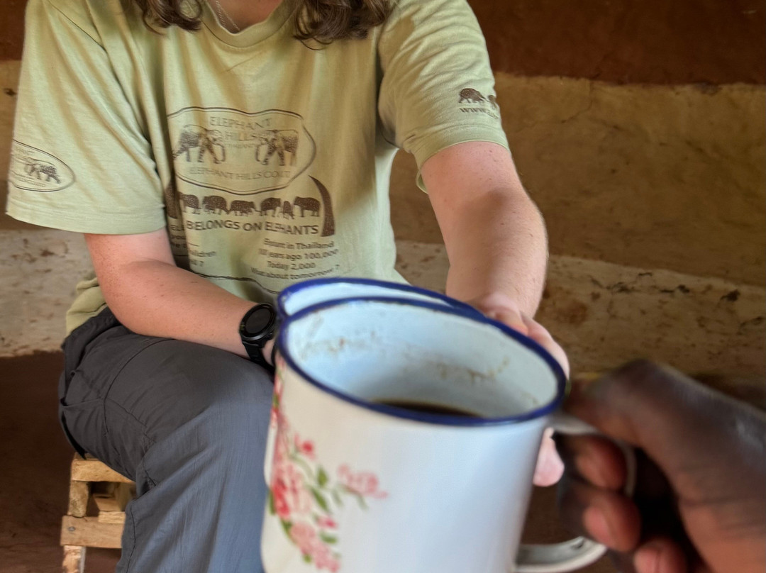 Massif Montane Expedition, Mt Elgon-Sipi必去景点