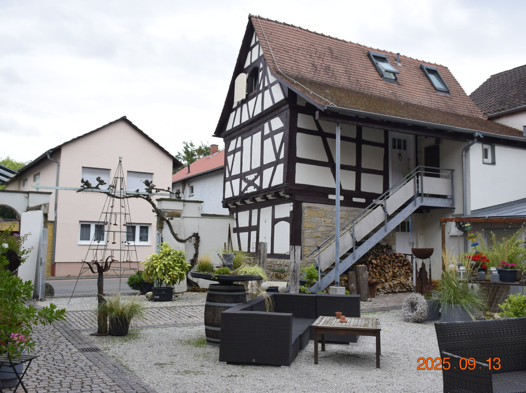 Hotel Salischer Hof主图