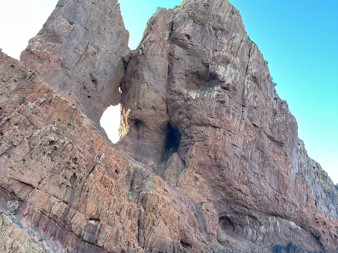 Le Goëland-Porto必去景点