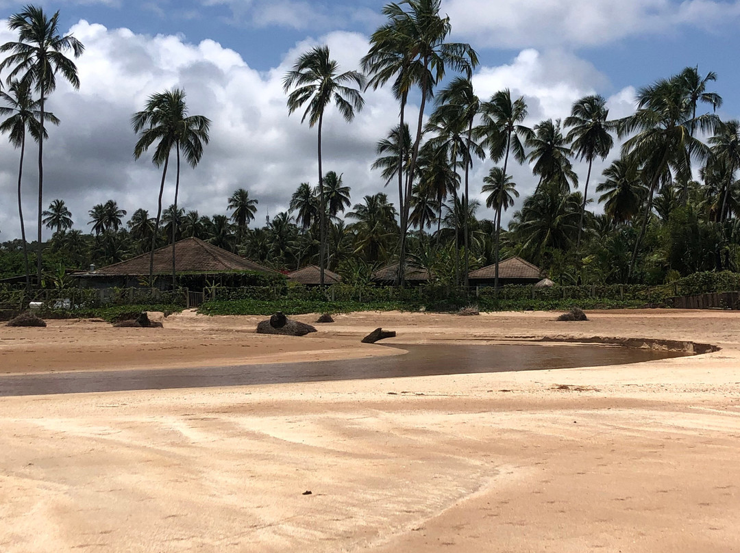 Riacho Beach-Sao Miguel dos Milagres必去景点