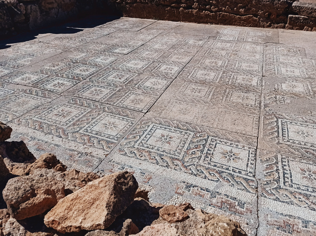 Ruines Romaines Tipaza-蒂帕萨必去景点