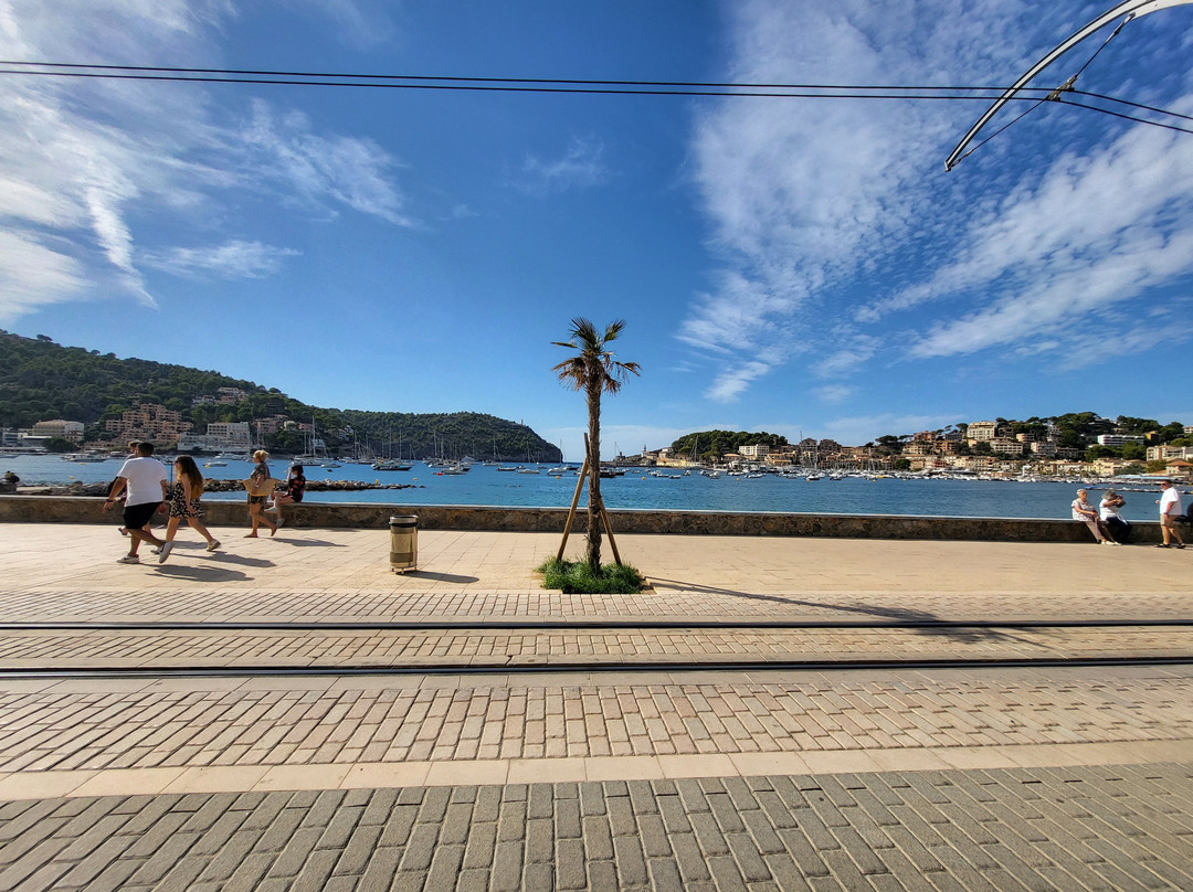 Tram de Sóller-索列尔港必去景点