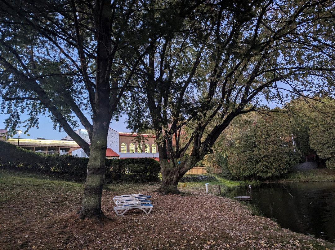 Hotel Cheribourg主图