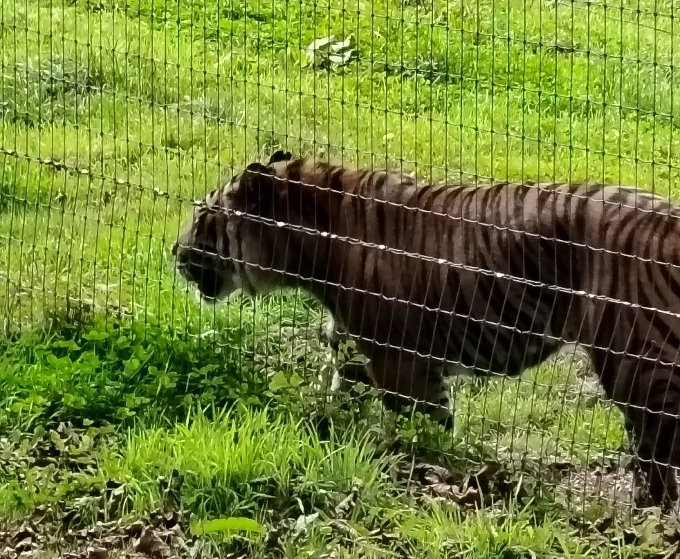 Manor Wildlife Park-St. Florence必去景点