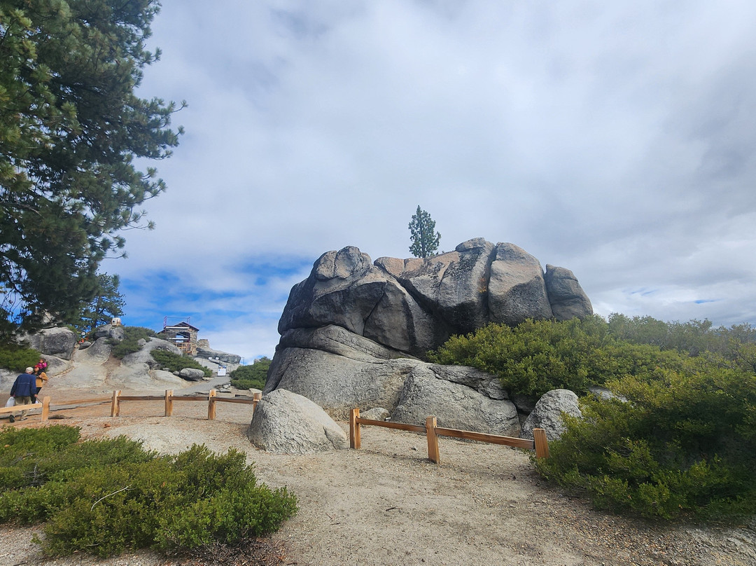 Yosemite Private Tours-Wawona必去景点