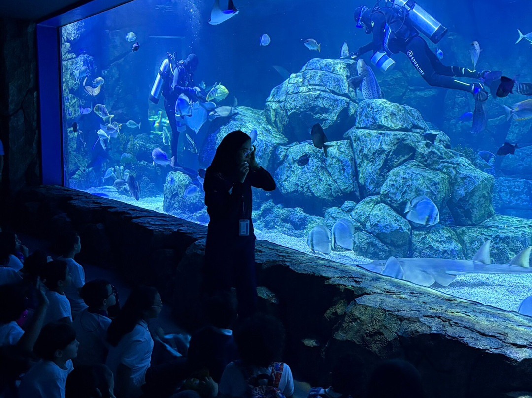 Marassi Aquarium & Underwater Zoo-Diyar Al Muharraq必去景点