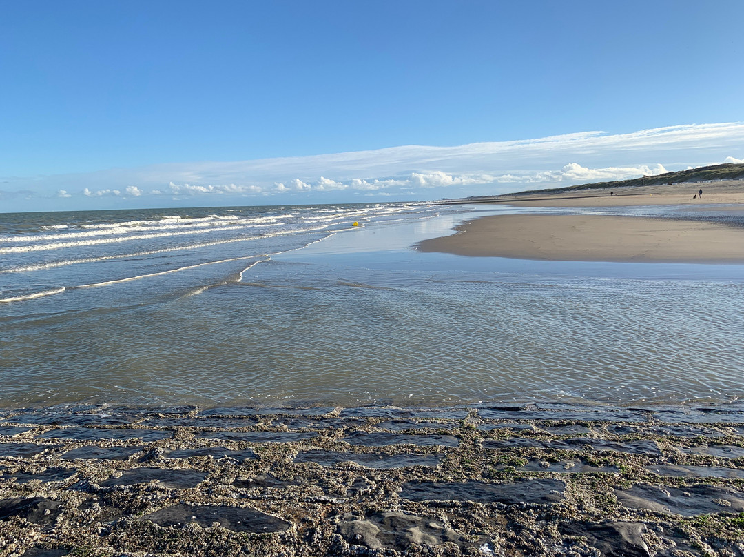 Plage d'Ostende-奥斯坦德必去景点