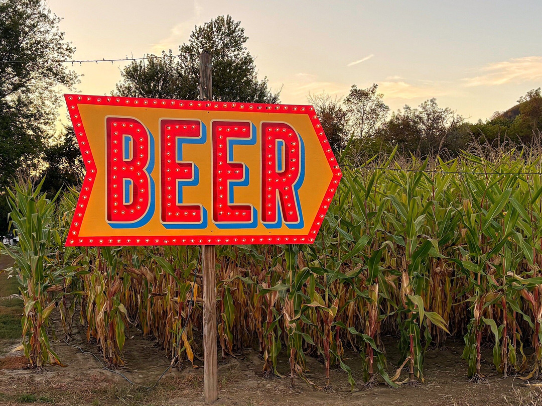 Mike's Maze-Sunderland必去景点