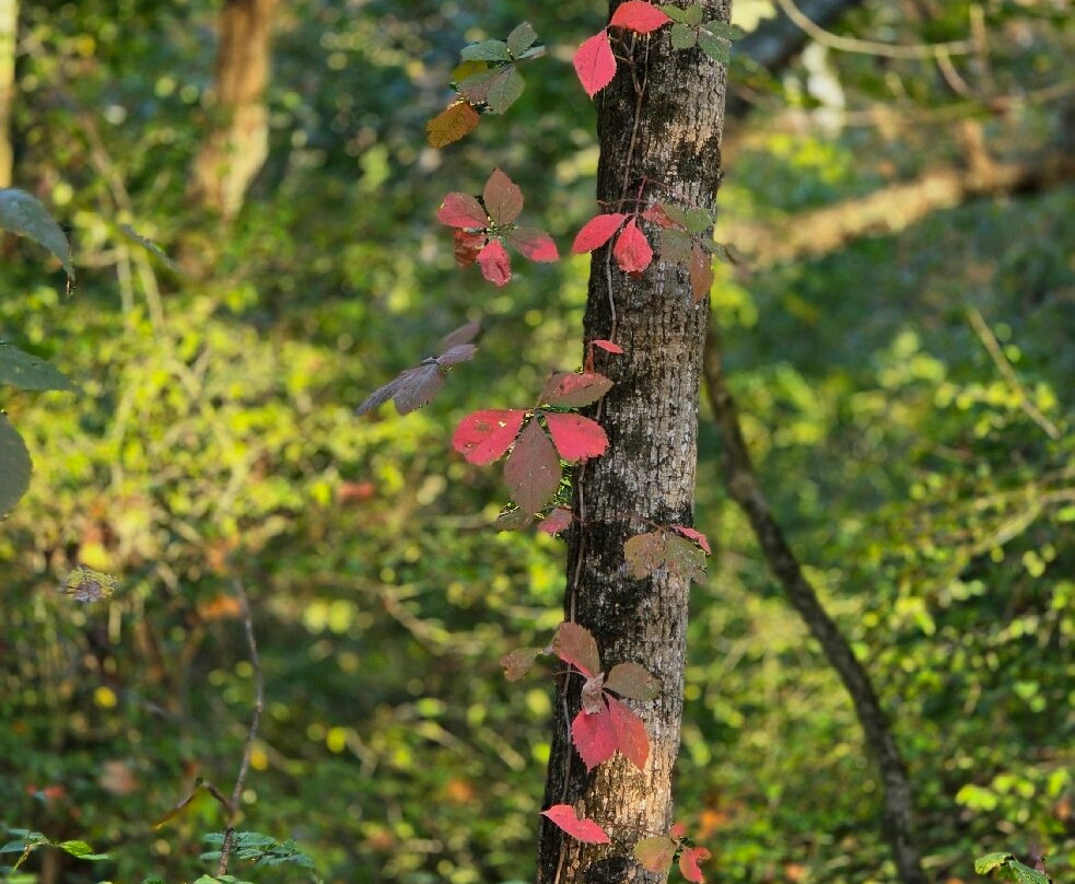 Tyler State Park-Newtown必去景点