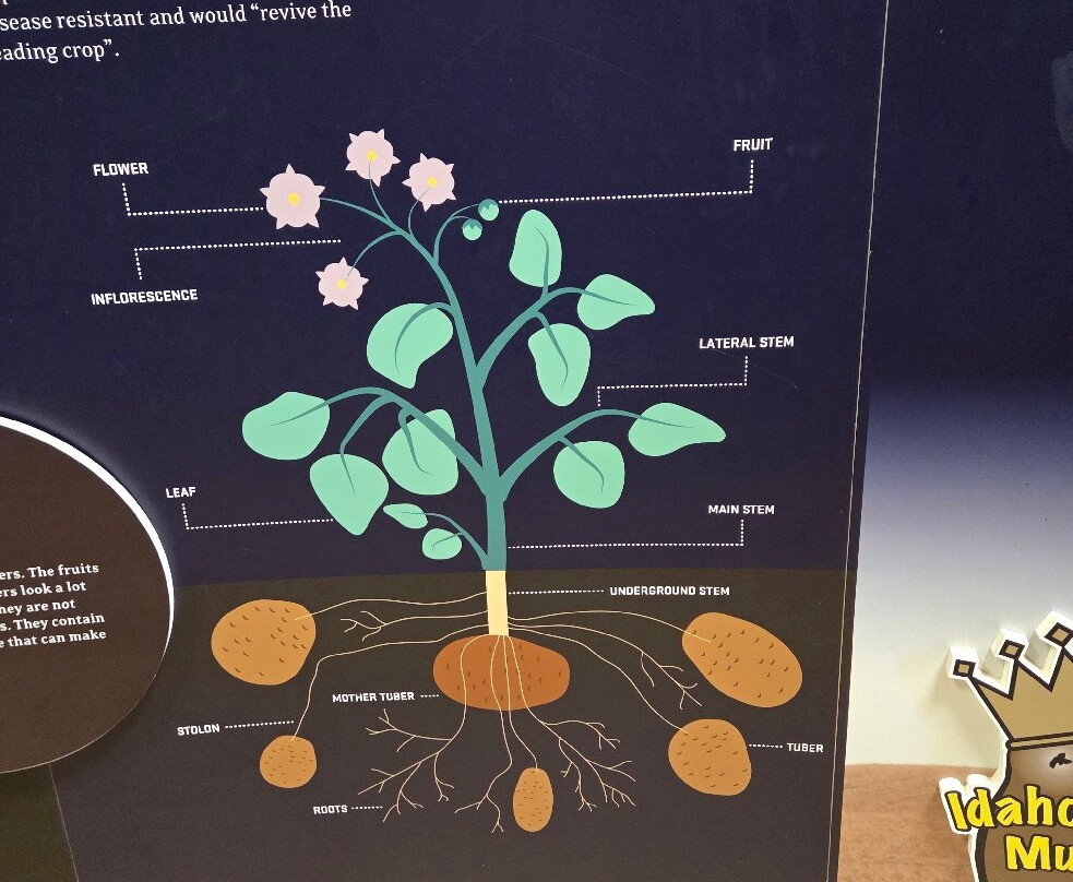 Idaho Potato Museum-Blackfoot必去景点