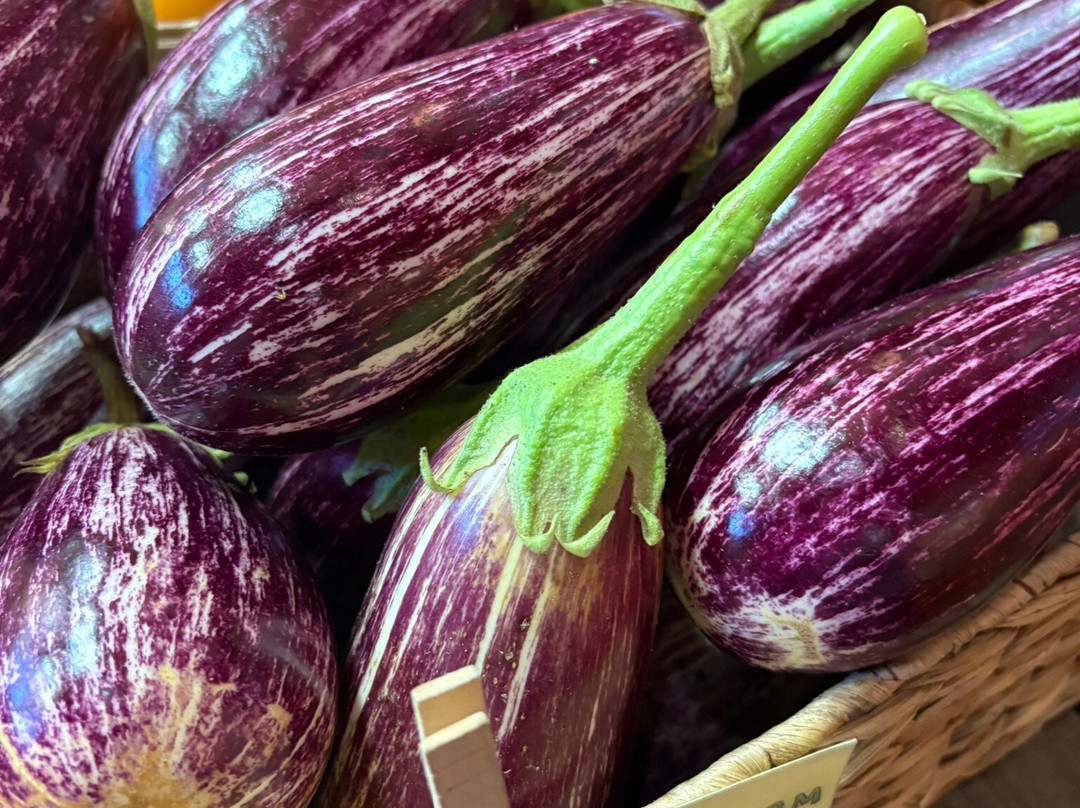 Morning Glory Farm-Edgartown必去景点