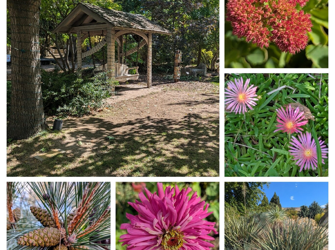 Idaho Botanical Garden-博伊西必去景点