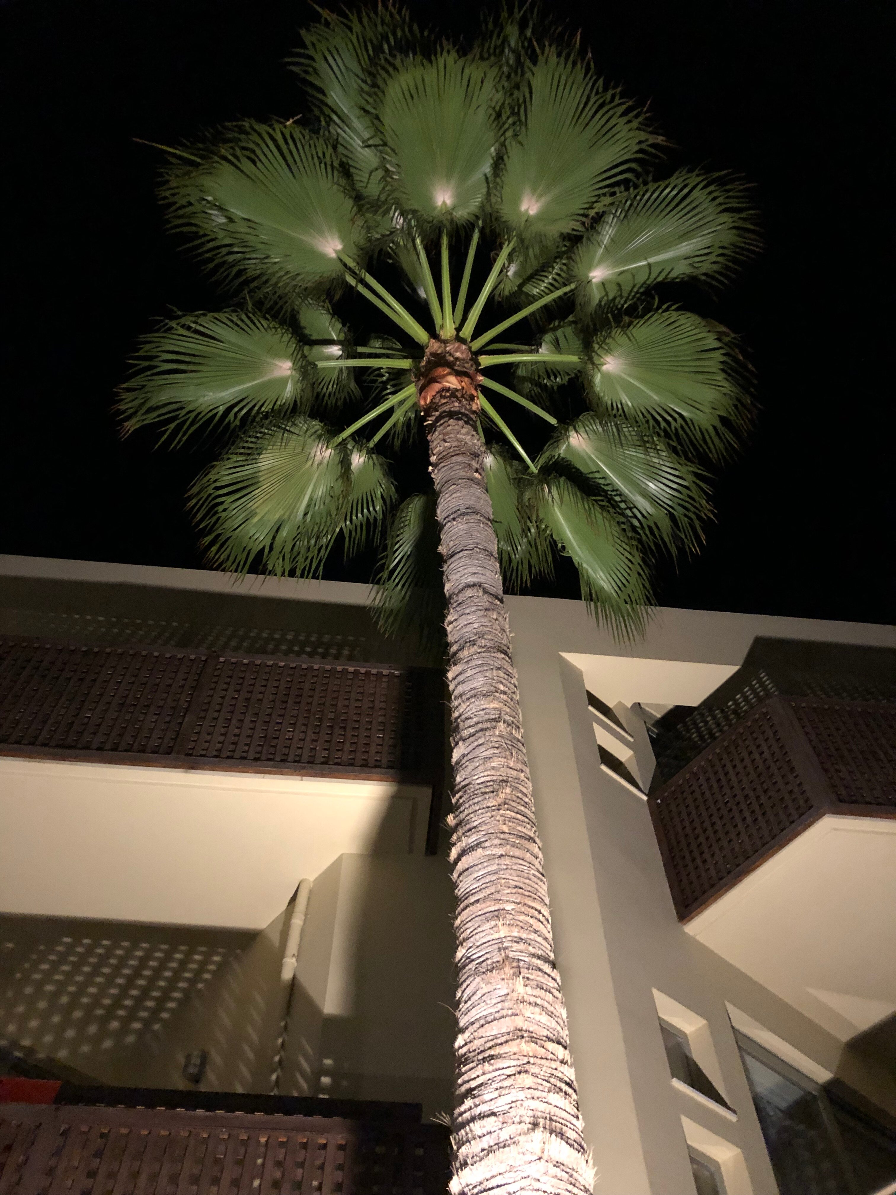 圣滨海广场酒店-浴室