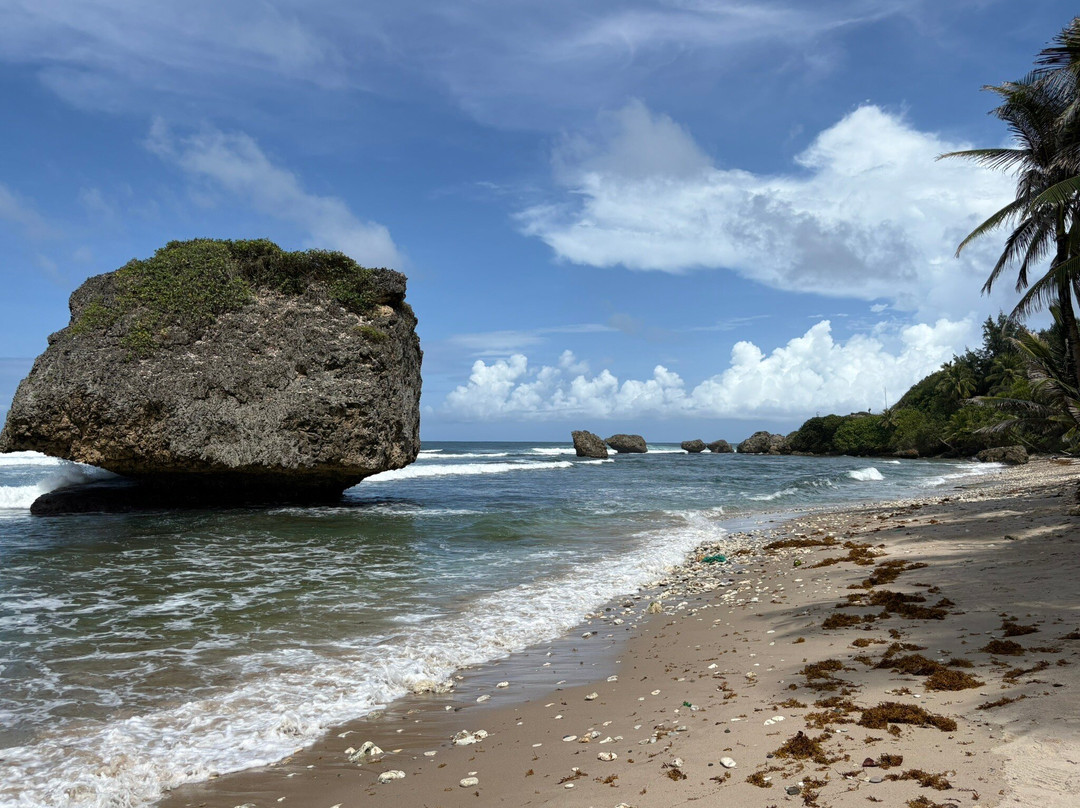 Bathsheba Beach-Bathsheba必去景点