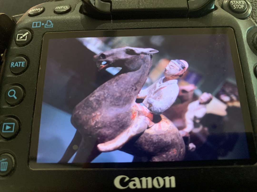 西澳博物馆-珀斯必去景点