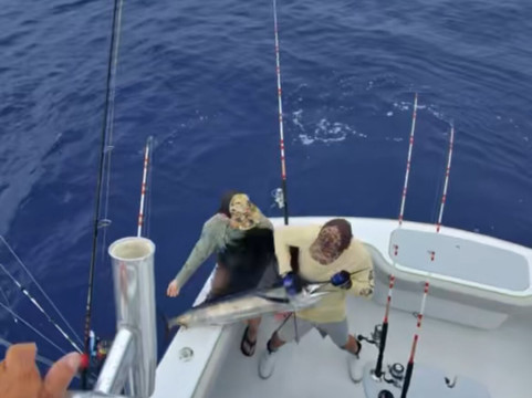 Taco's Hooked Up Sportfishing-劳德代尔堡必去景点