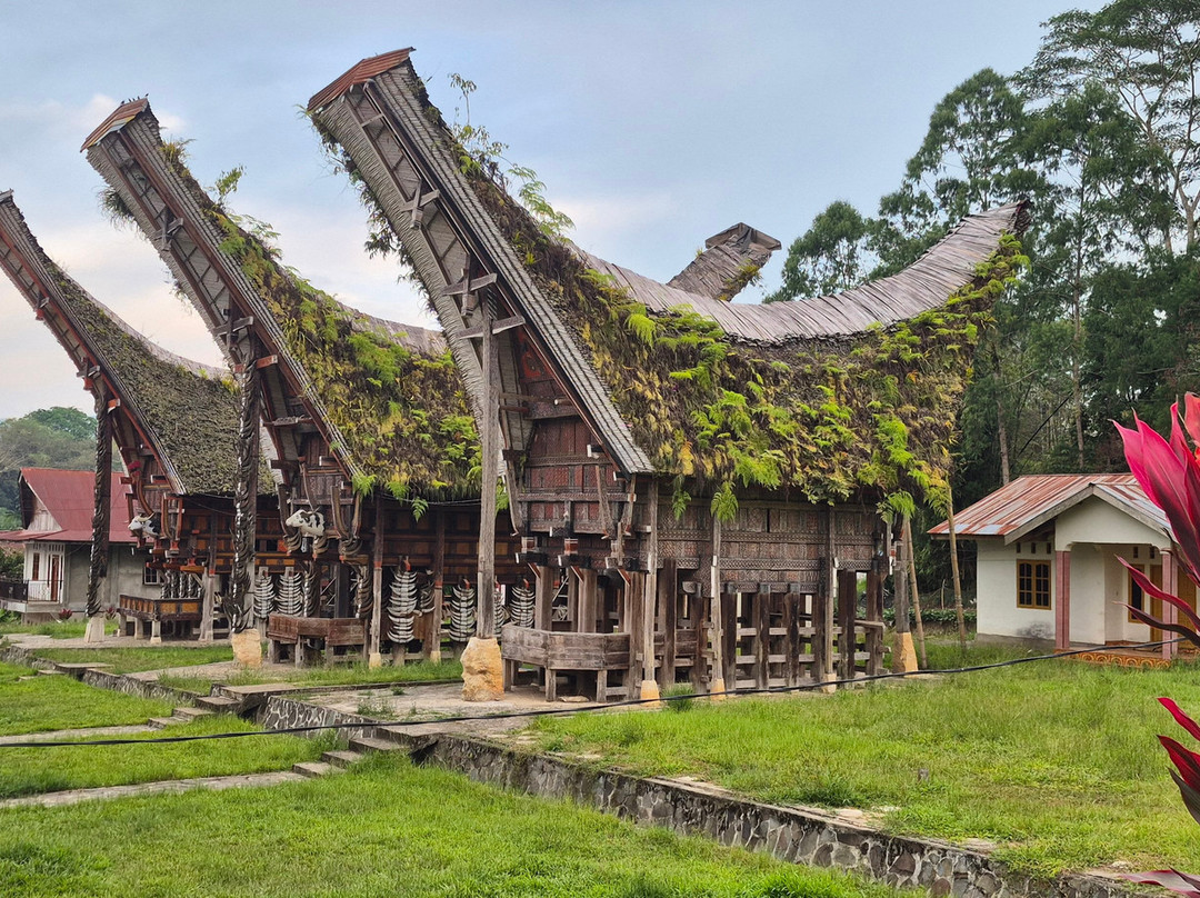 TORAJA TOUR WITH GUIDE SERVICE.-Tana Toraja必去景点