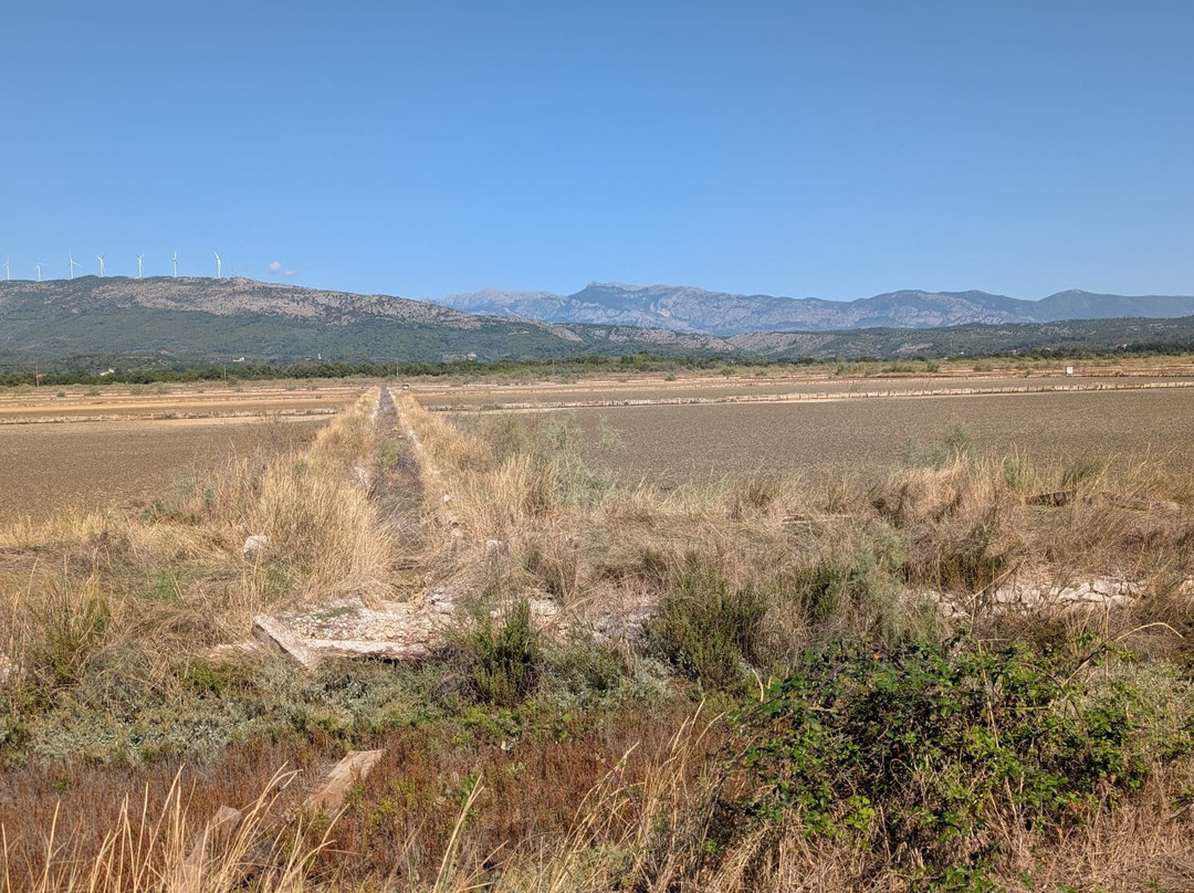 Ulcinj Salina-Ulcinj Municipality必去景点