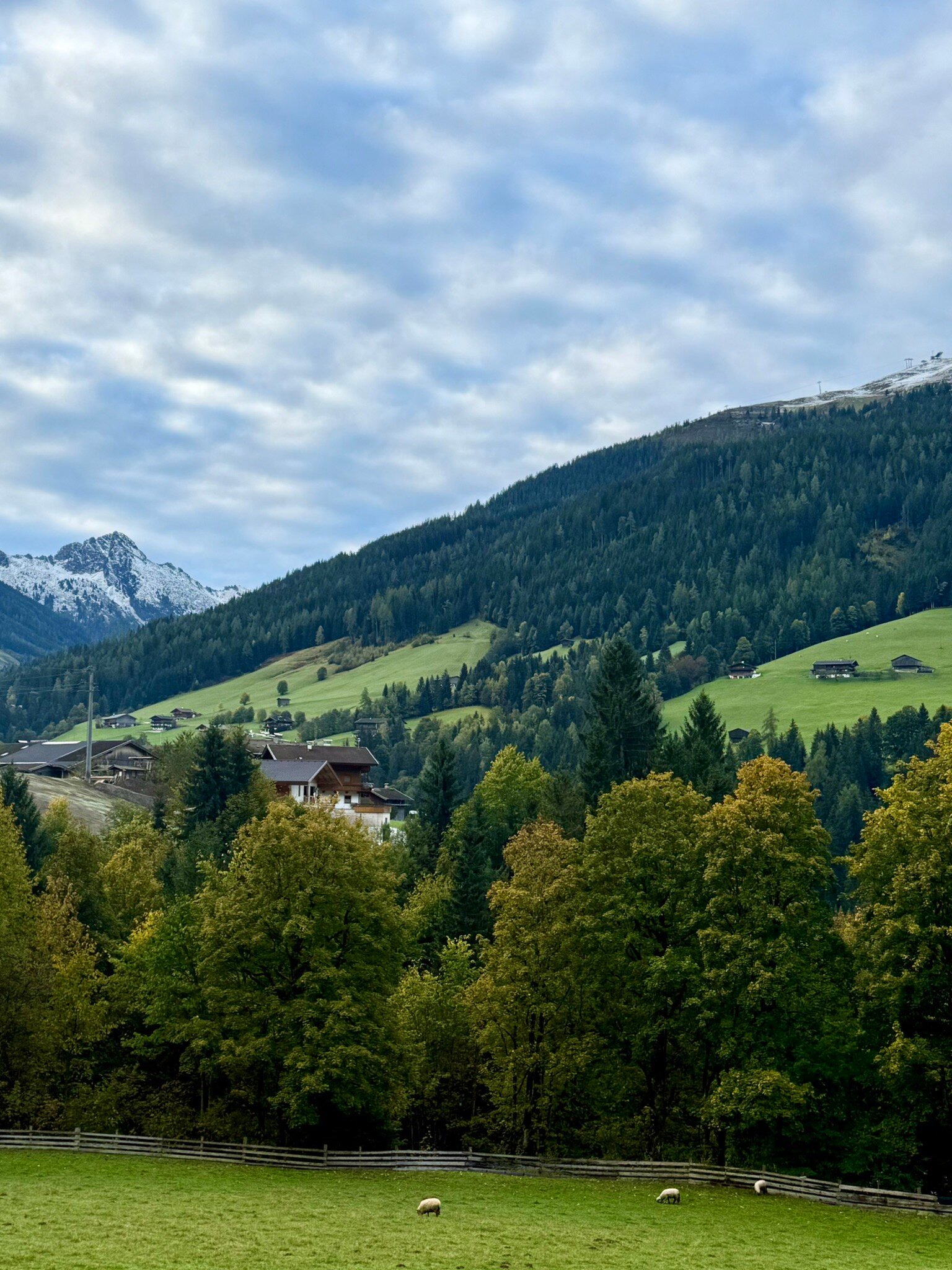 阿尔贝奇霍夫自然及Spa度假酒店-官方