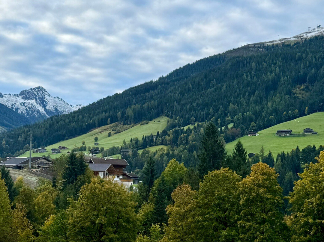 阿尔贝奇霍夫自然及Spa度假酒店主图