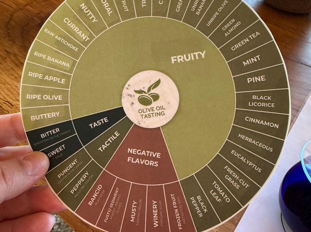 Mainova-Vimieiro必去景点