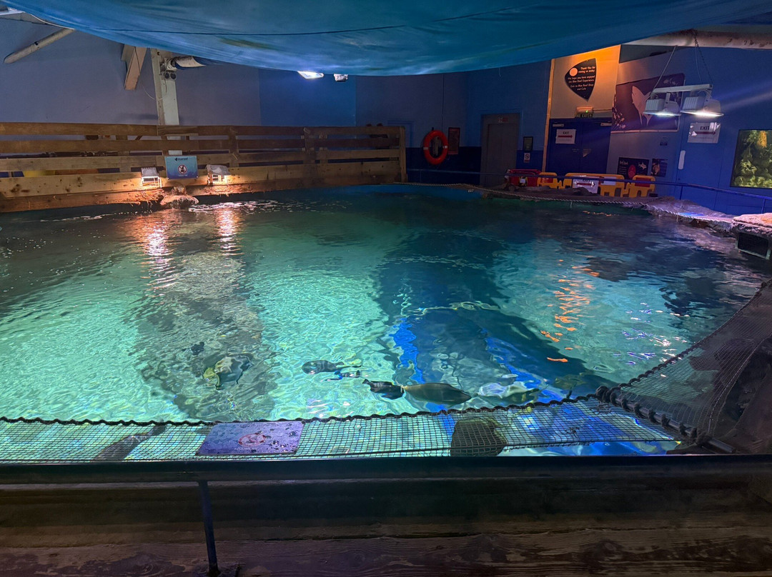 Blue Reef Aquarium-纽奎必去景点