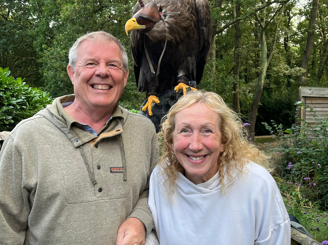 The Falconry Experience-纽波特必去景点