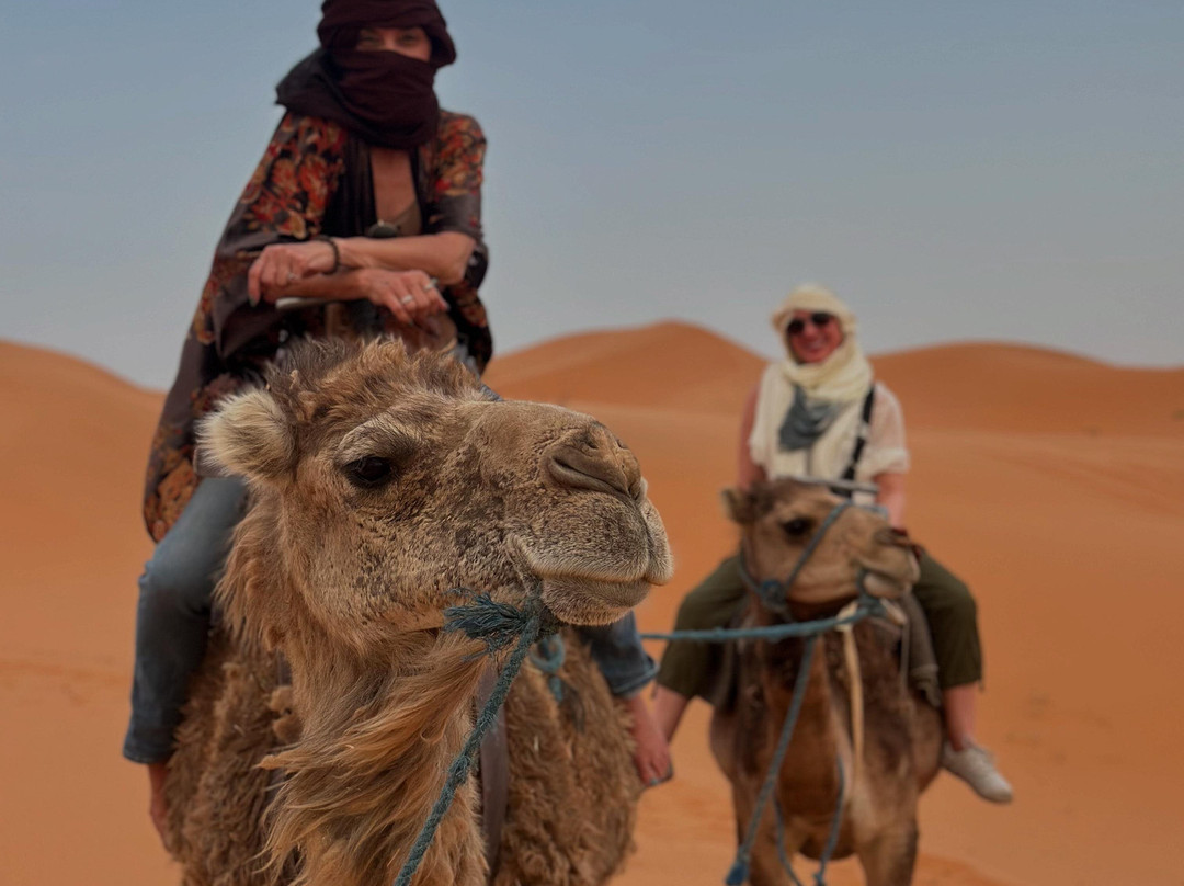 We Love Morocco-卡萨布兰卡必去景点