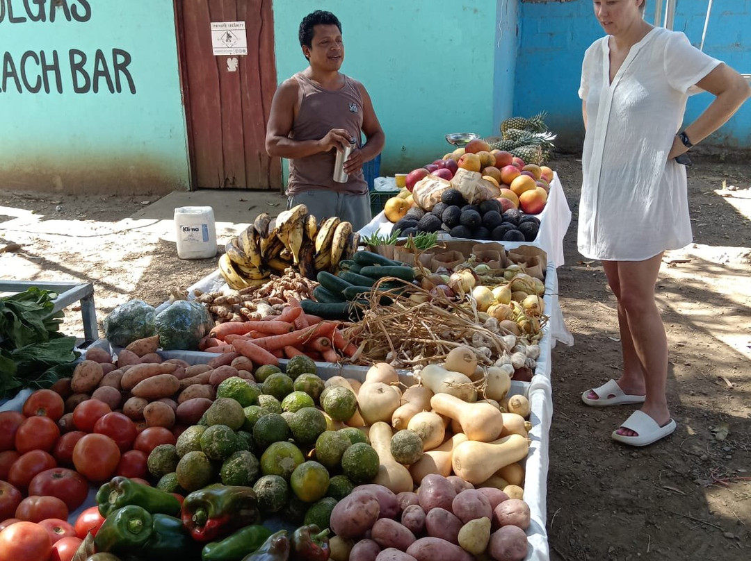 Feria De Emprendedores Playa Pelada-诺萨拉必去景点